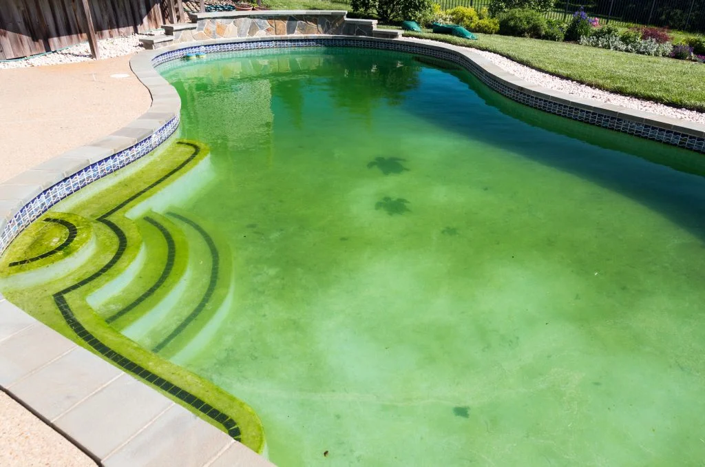 Everything You Need to Know About Alkalinity in Your Pool