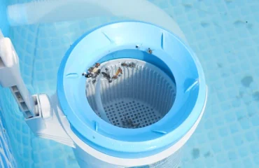 How to Get Rid of Water Bugs in the Pool?