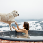 Can My Dog Use the Hot Tub?