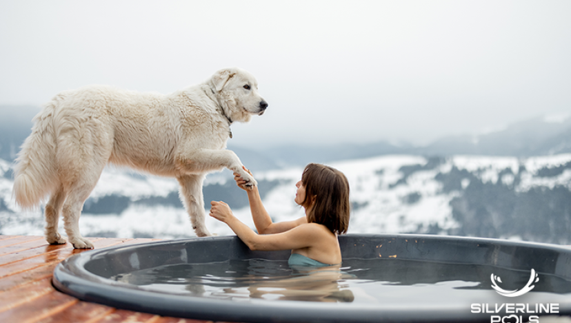 Can My Dog Use the Hot Tub? - Silver Line Pool