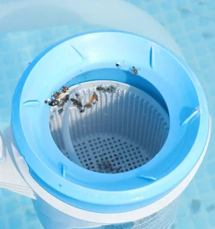 How to Get Rid of Water Bugs in the Pool?